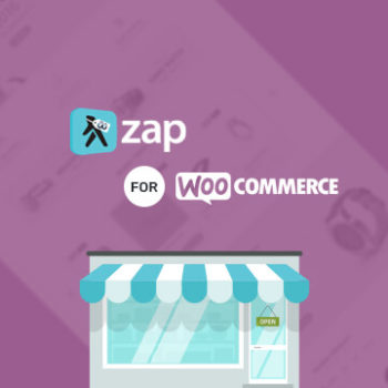 ניהול תוסף מראה של זאפ – עבור חנויות דיגיטליות בווקומרס – ZAP for woocommerce